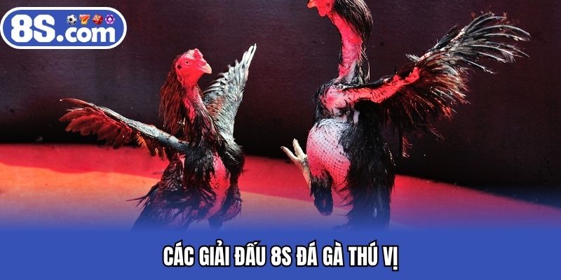 Các giải đấu Bet8S đá gà thú vị