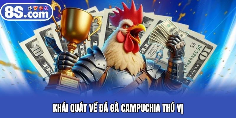 Khái quát về đá gà Campuchia thú vị