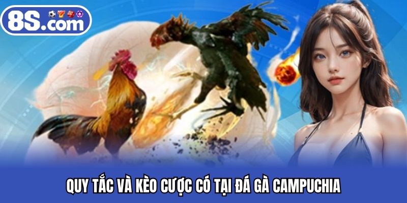 Quy tắc và kèo cược có tại đá gà Campuchia