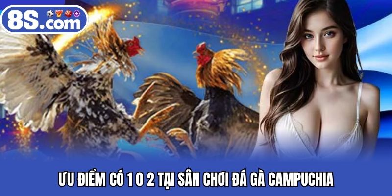 Ưu điểm có 1 0 2 tại sân chơi đá gà Campuchia