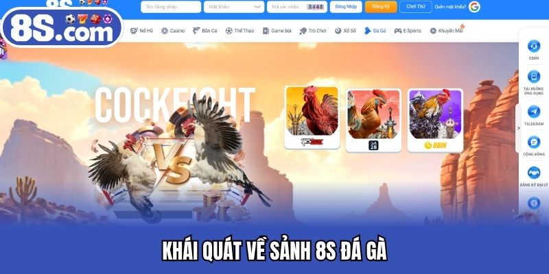 Khái quát về sảnh Bet8S đá gà